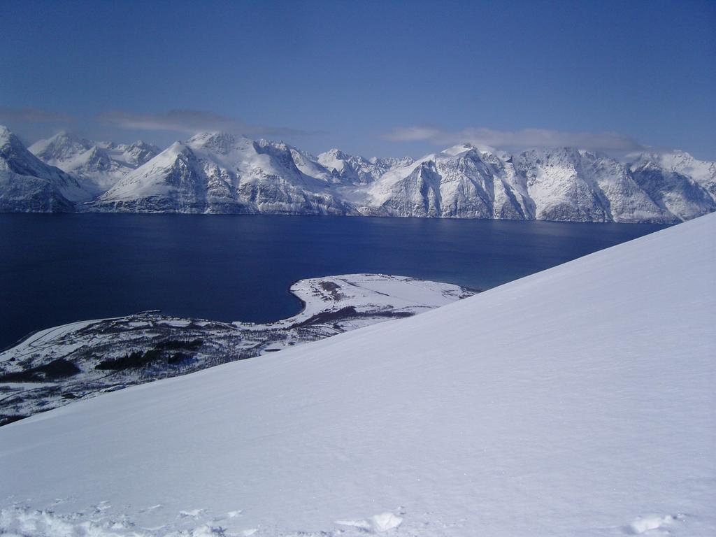 Villa Lyngen North à Rotsund Extérieur photo